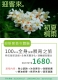 淡水spa100分鐘特惠$1680
